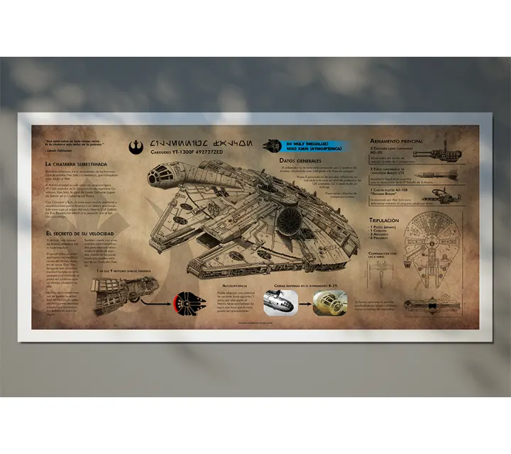 Infografías — Ilustración